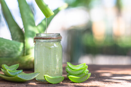 Aloe Vera