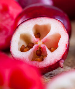 Cranberry seed