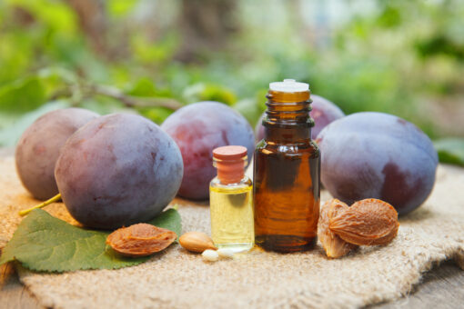 Plum kernel